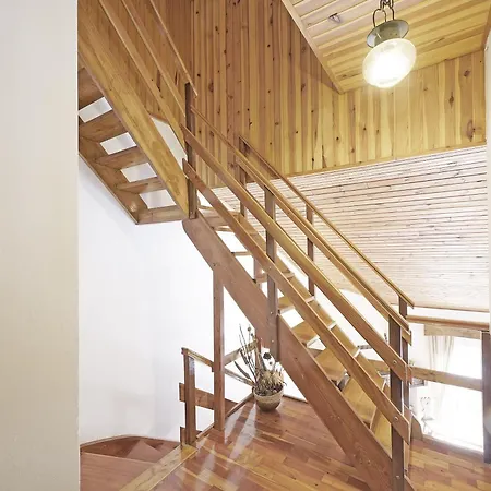 Penthouse Dolomiti Super Panoramic View Tovel Apartment